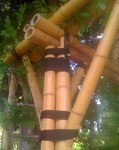 Pergola tout en bambou, Antibes